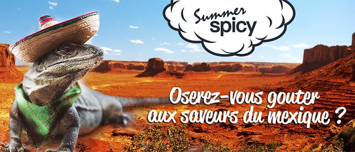 Bannière de présentation du e liquide Kipick 50 ml Summer Spicy