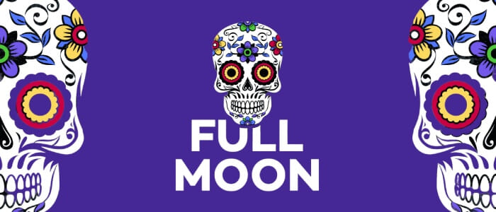 Bannière de la marque Full Moon