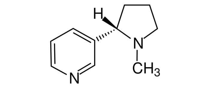 molécule-nicotine