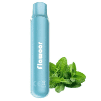 Menthol premium (600 Puffs) - Flawoor mate