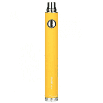 Batterie Evod VV (1000 mAh) - Kangertech