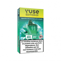 Puff Box Menthe Ice Vuse