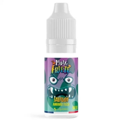Saligot Multi Freeze - Liquideo
