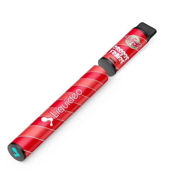 Starter Kit WPuff 600 - Grosse fraise - 1 batterie + 1 pod
