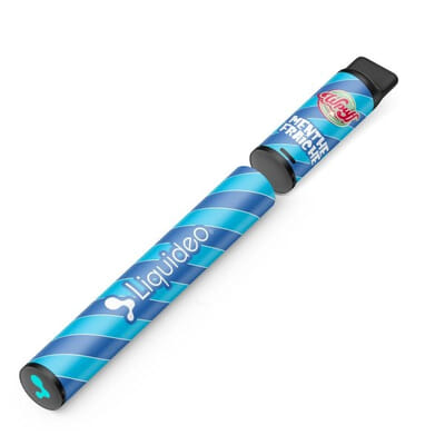 Starter Kit WPuff 600 - Menthe fraîche - 1 batterie + 1 pod