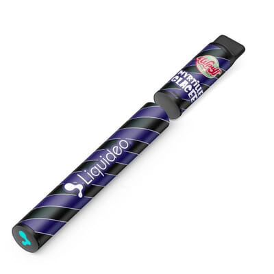 Starter Kit WPuff 600 - Myrtille glacée - 1 batterie + 1 pod
