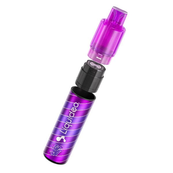 Starter Kit Raisin glacé - Wpuff Pod Fusion - 1 batterie + 1 cartouche