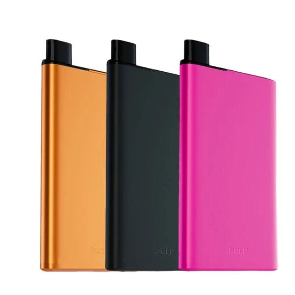 Starter Kit Rechargeable Big Slim Pulp | Pod 900 mAh 2 ml